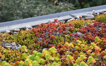the cost of Southolt green roof installation