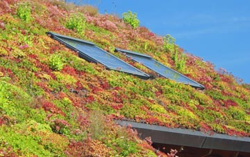 Southolt living roof systems