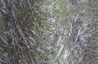 Southolt fibreglass roof work